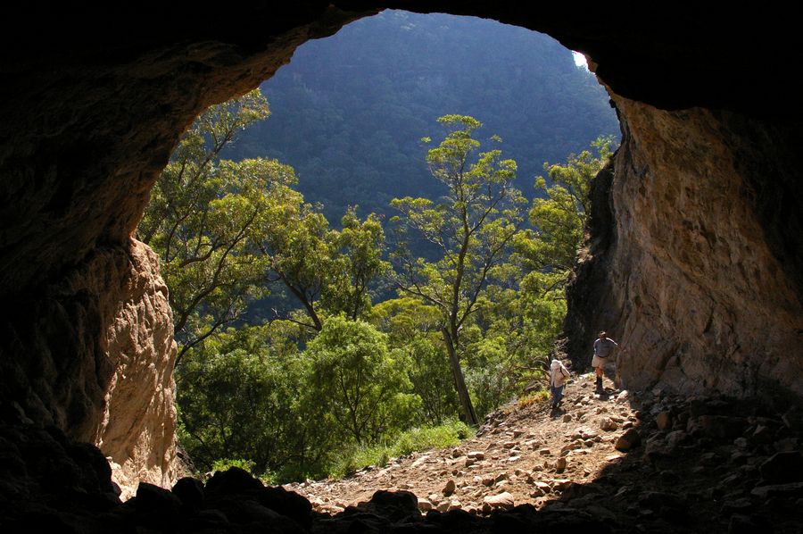 Coolah Tops National Park