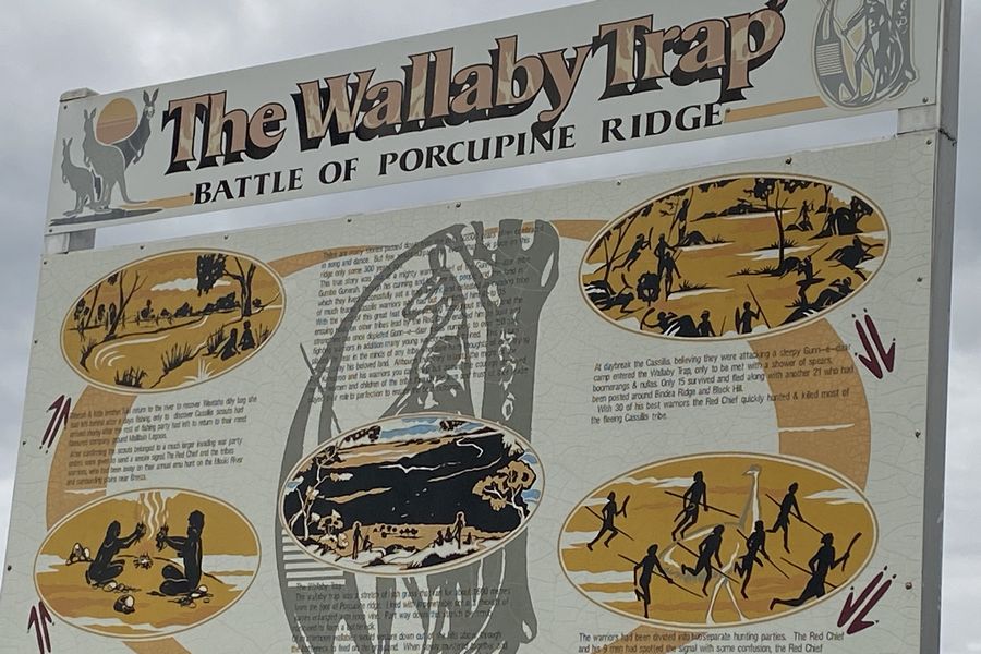 Wallaby Trap