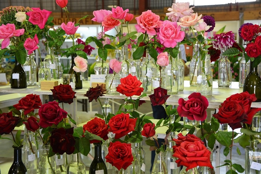 Spring Rose ShowSpecial Events