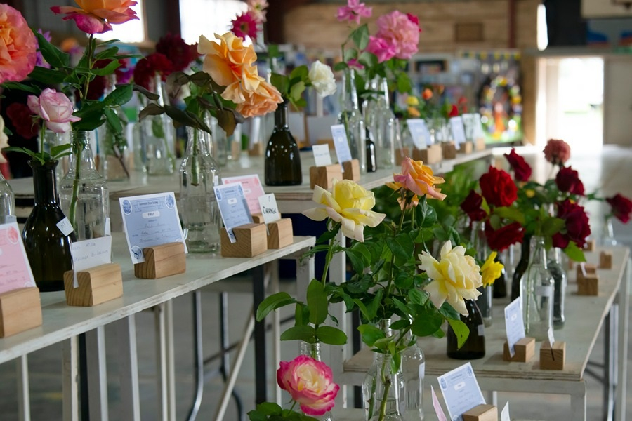 St Andrews Fair & Flower showActivities for Seniors