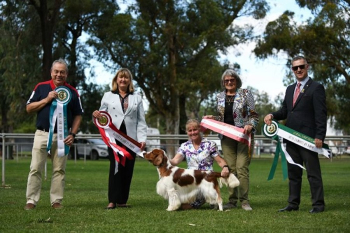 Gunnedah & Dist. Kennel Club & New England Ladies Kennel Club North-West Autumn Classic